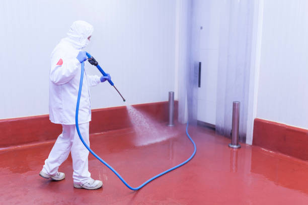 Best Graffiti Removal  in Darmstadt, IN