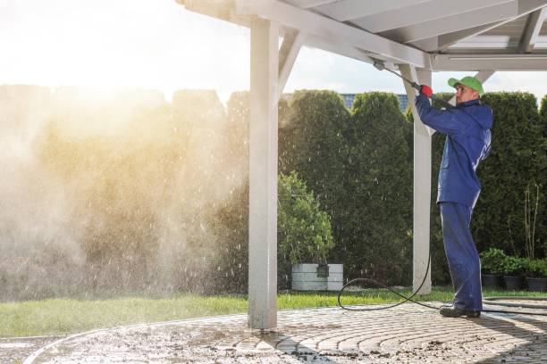 Best Animal Enclosure Cleaning  in Darmstadt, IN