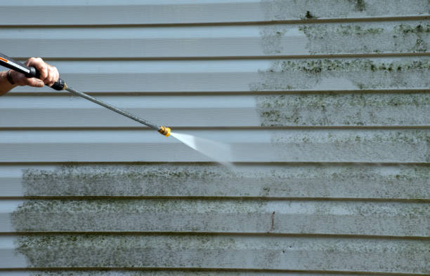 Best Dumpster Area Cleaning  in Darmstadt, IN